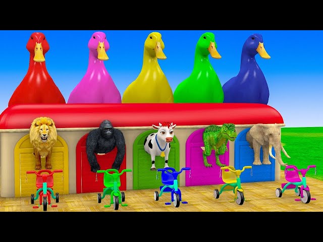 Video thumbnail for Long Slide Game With Cow Elephant Gorilla Hippopotamus Tiger 3d Animal Game Funny 3d Animals  Spider