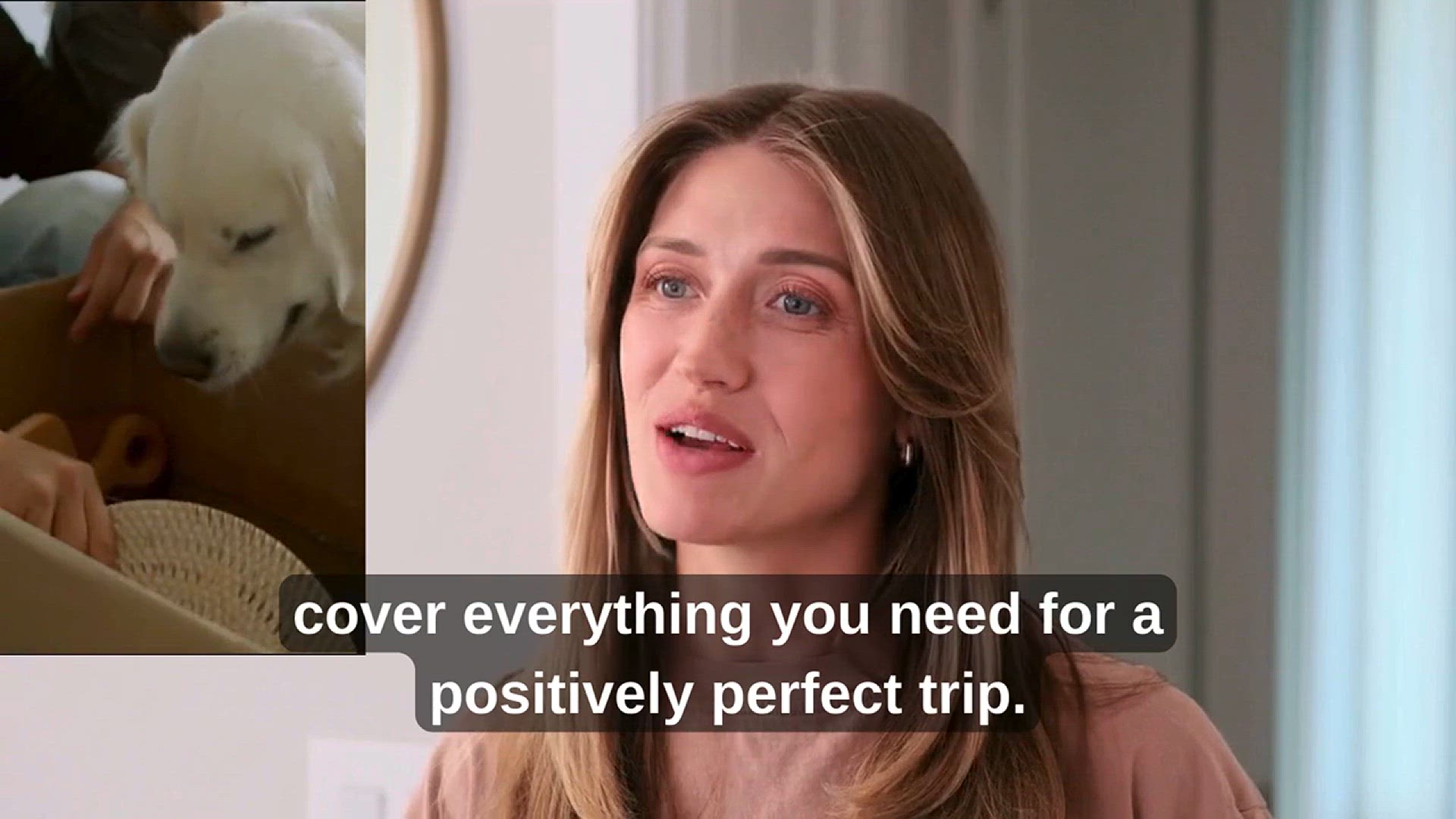 Video thumbnail for How to Travel with a Dog