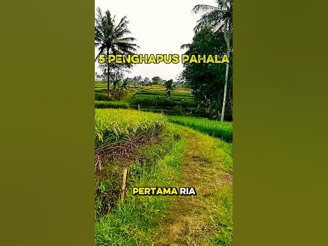 Video thumbnail for 5 Penghapus pahala#lenterahati #shortsmotivasi #motivasiislami2026