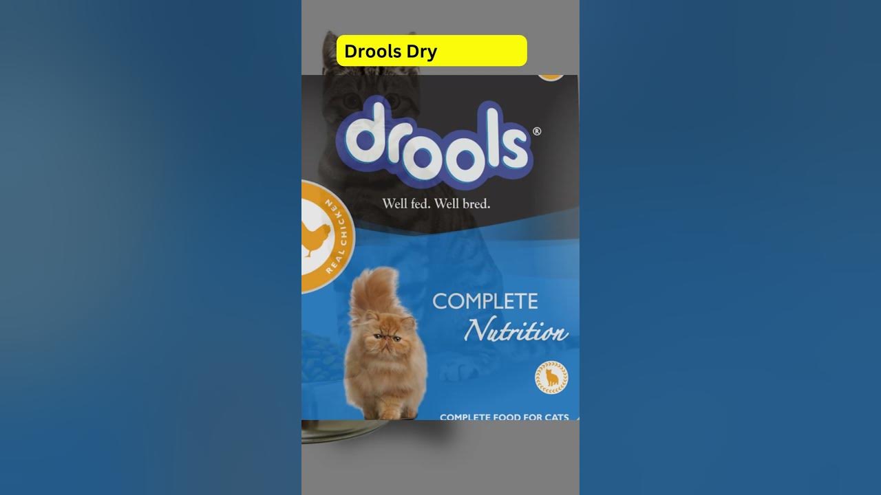 Video thumbnail for 10 best cat foods to ensure good health of your cats and kittens || #shorts #short #cat