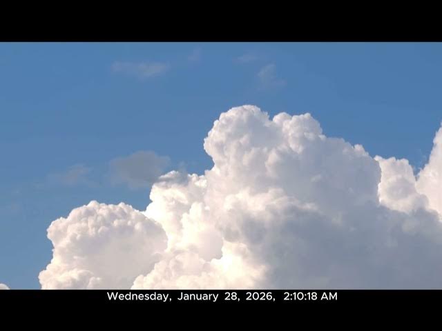 Video thumbnail for 0128 1 BAIDTMAN BAIDTMAIN BAIDTMAN