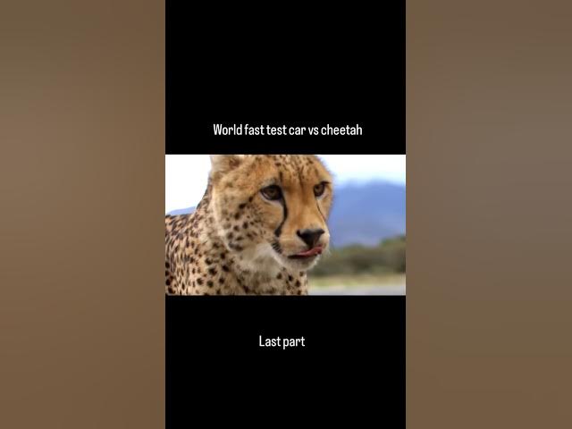 Video thumbnail for #mrbeast 2