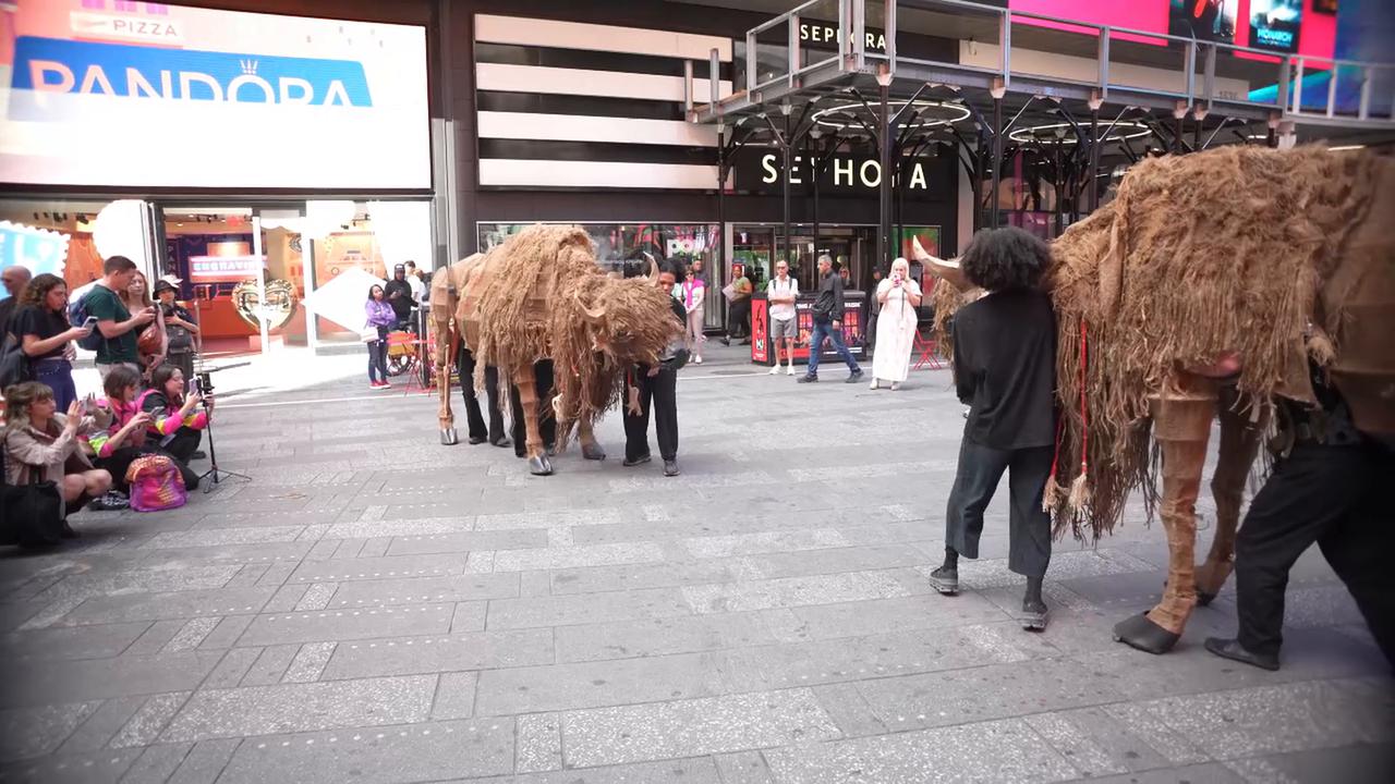 Video thumbnail for Media preview for Return of the Buffalo: Tatanka Owe Akupi 2.