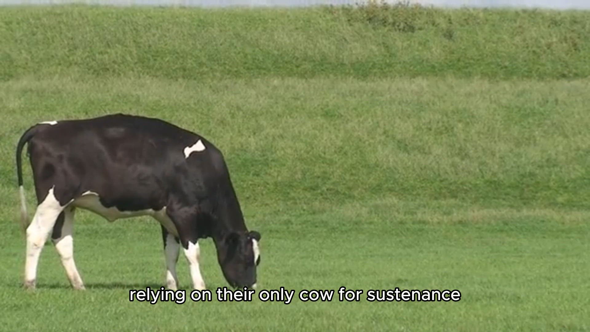 Video thumbnail for Jack and the Beanstalk