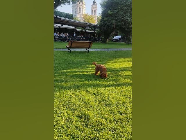 Video thumbnail for Therapy? Nah, just let me roll for 45 seconds ππ§ββοΈ