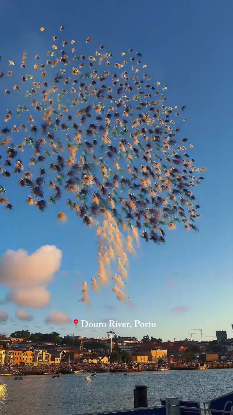 Video thumbnail for One Page by Cai Guo Qiang Over the Douro River at Sunset