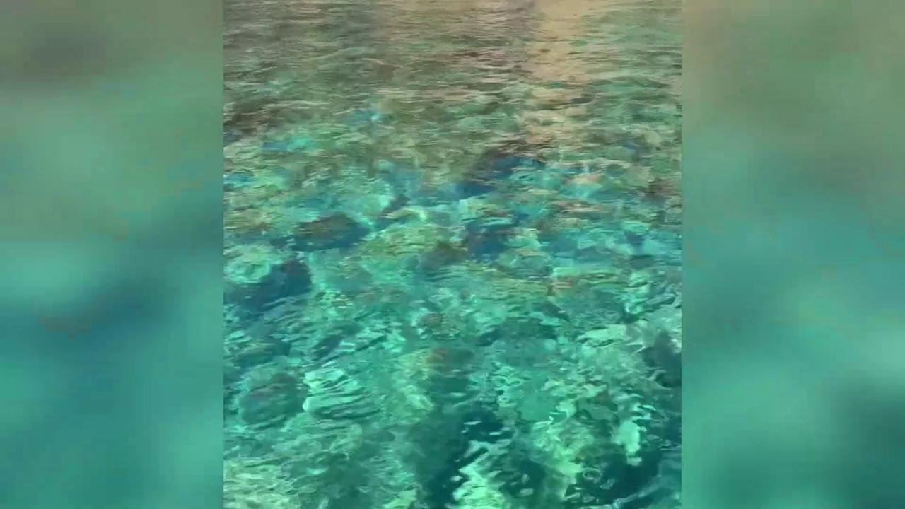 Video thumbnail for L'escapade fraîcheur de Laeticia Hallyday dans les Cyclades.