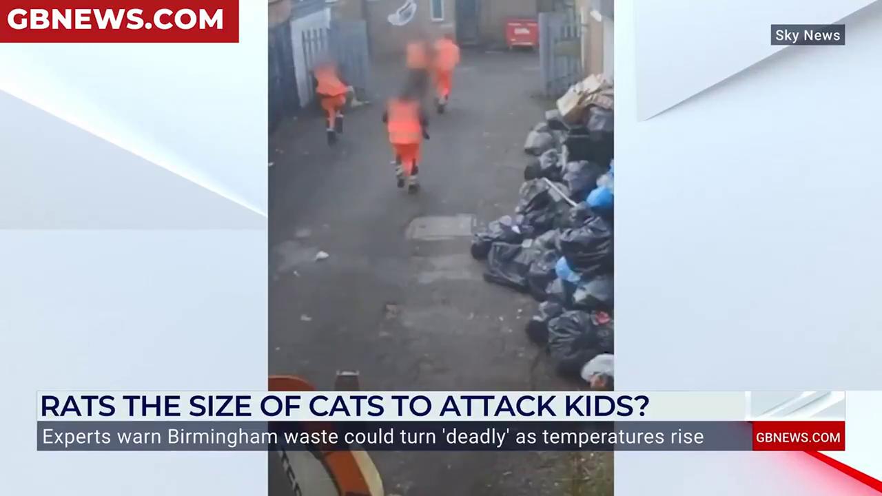 Video thumbnail for Birmingham MP Tahir Ali is 'in the pocket of Unite Union', MacKenzie claims