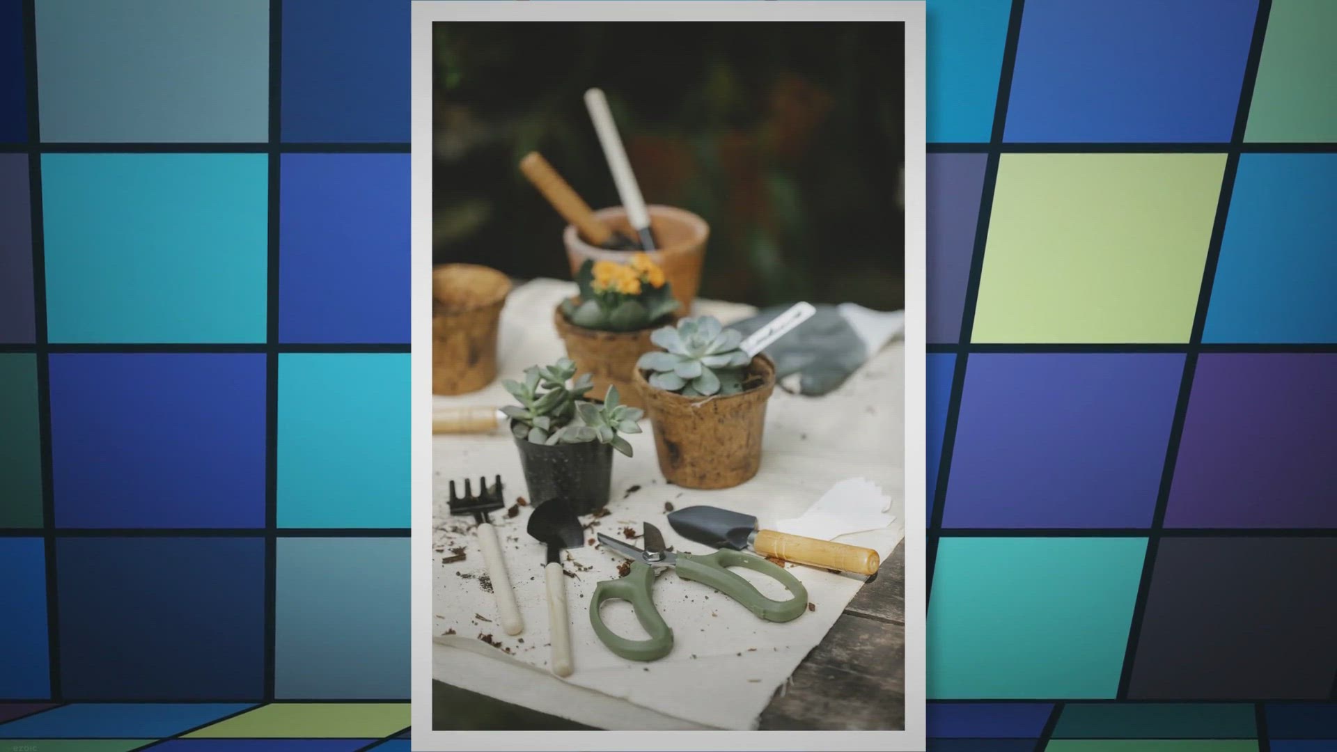 Video thumbnail for Essential Gardening Tools: A Comprehensive Guide