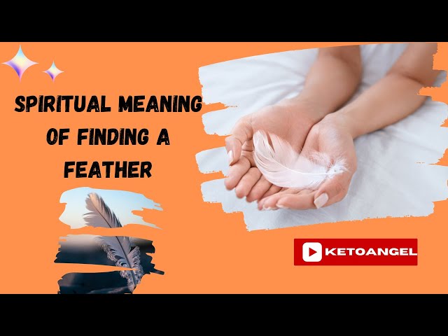 'Video thumbnail for The Spiritual Meaning of Finding a Feather on Your Path-video'