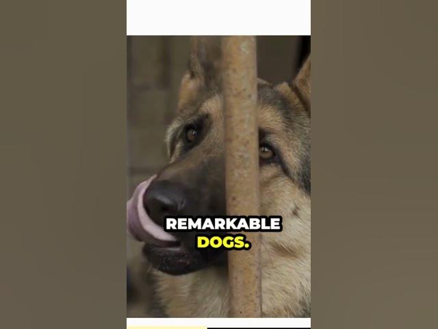 Video thumbnail for Acknowledge that these traits, when mismanaged, can contribute to problems