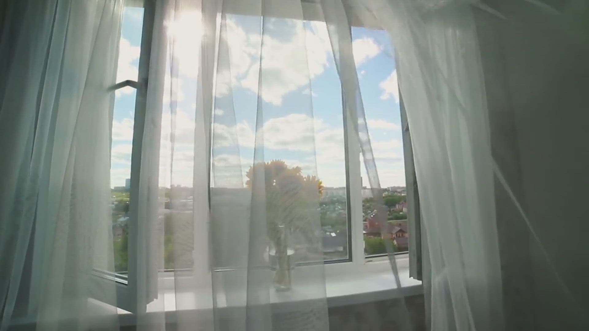 'Video thumbnail for Tips for Growing a Kitchen Garden in a Window'