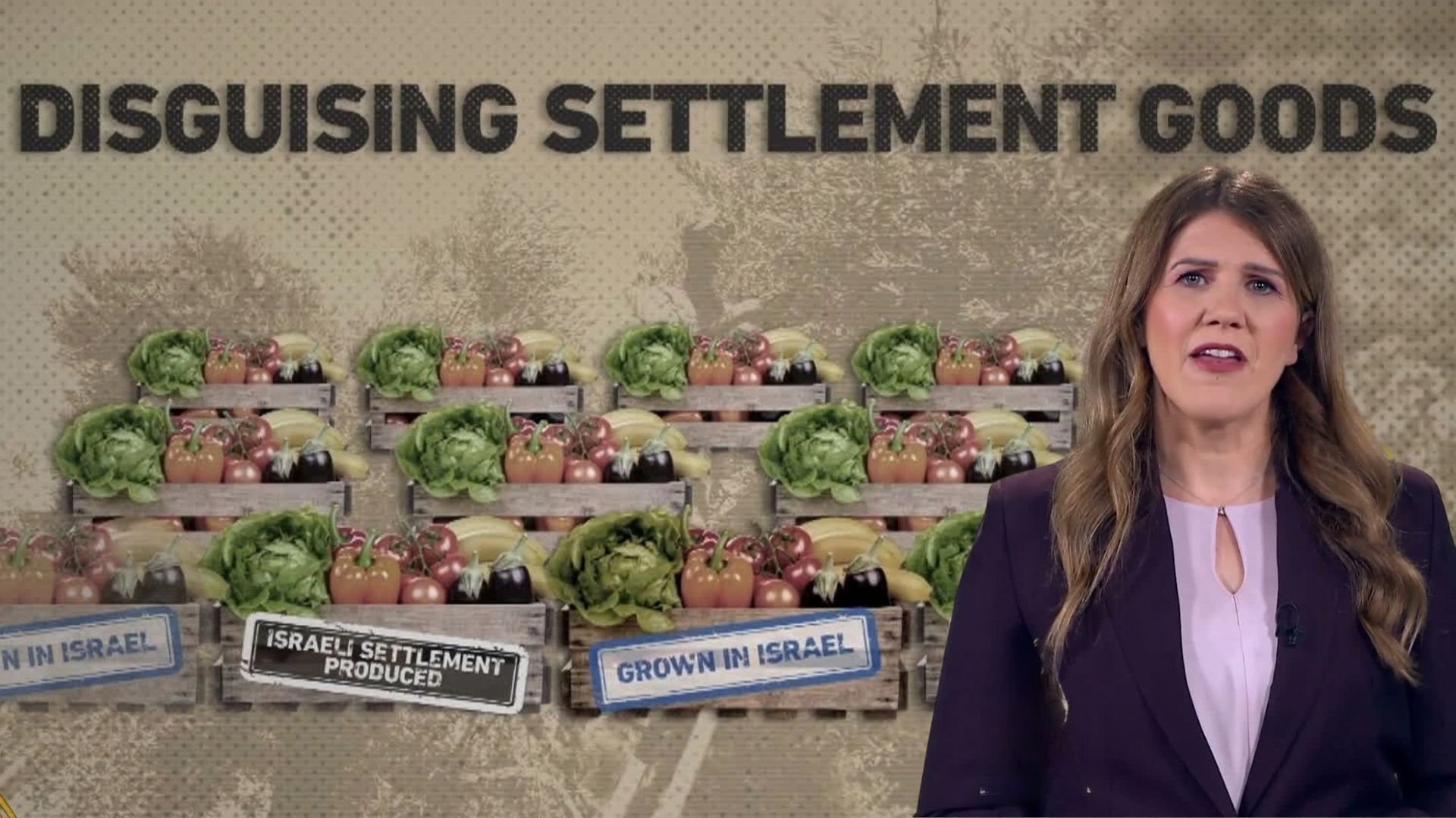 Video thumbnail for Belgium and Netherlands move to block goods from illegal Israeli settlements