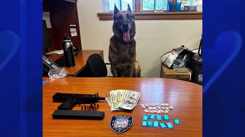 Video thumbnail for Southampton K9 helps nab NYPD shooting suspect, leads police to drugs