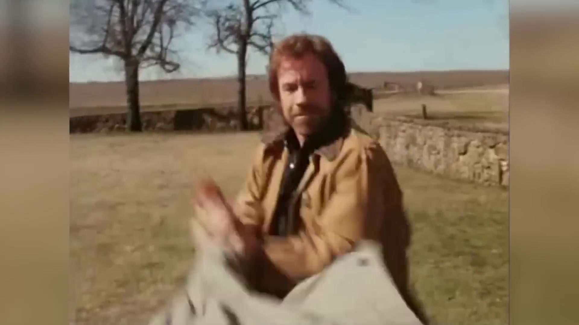 Video thumbnail for False Facts About Chuck Norris You Always Thought Were True