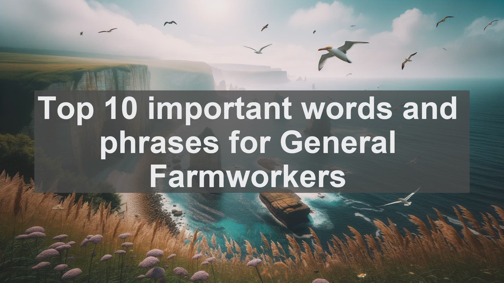 'Video thumbnail for Top 10 important words and phrases for General Farmworkers'