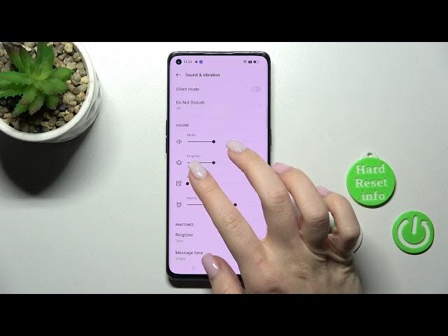 Video thumbnail for How to Mute the Notification Sound on the OPPO Find X2 Neo