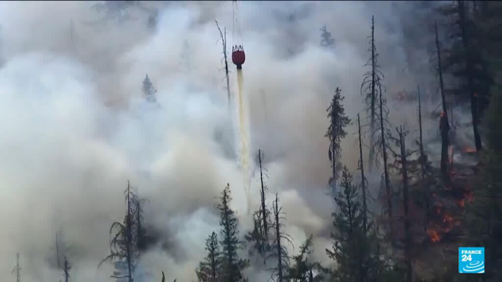 Video thumbnail for Donald Trump blames Canada for smoke pollution