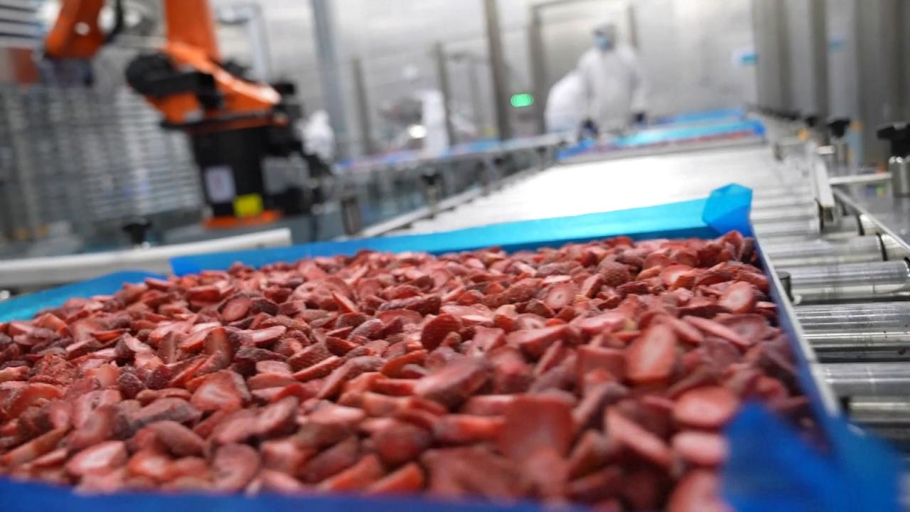 Video thumbnail for Egypt: Egyptian strawberry exports to China surge as zero-tariff policy bears fruit.