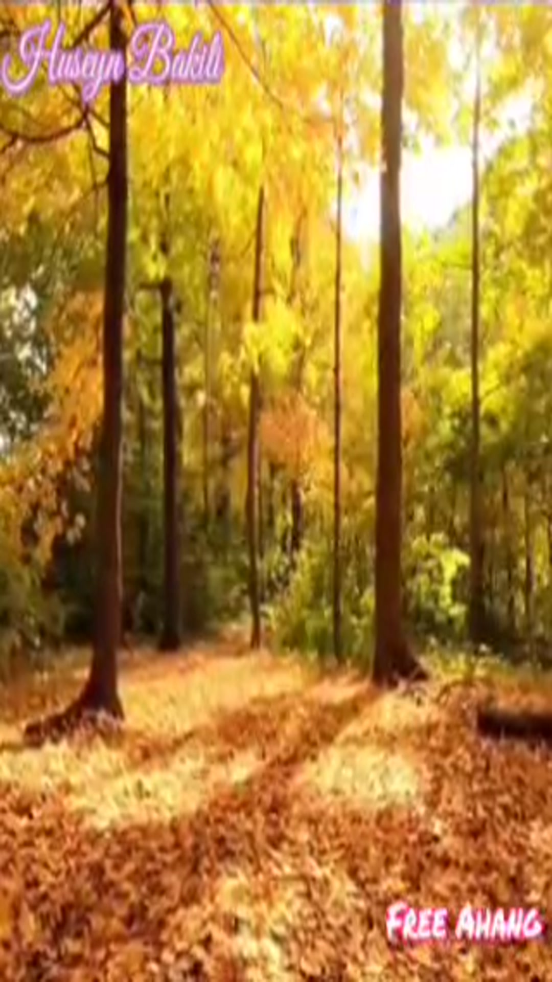 Huseyin Bakili _ Payiz Geldi