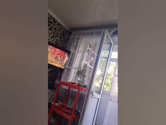 Video thumbnail for 30 мая 2025 г.