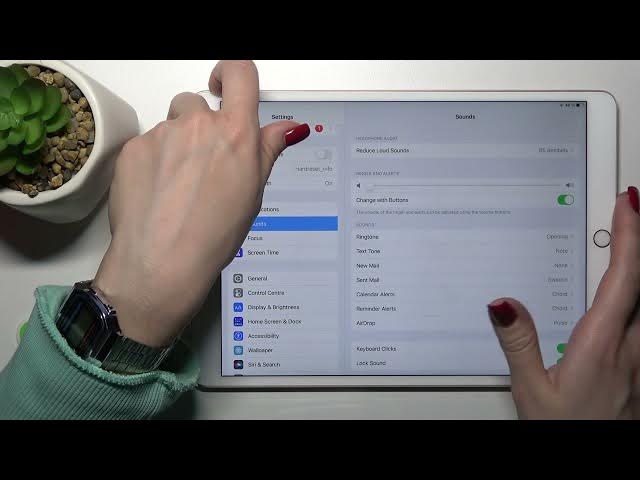 Video thumbnail for How to Unmute the Ringtone on the iPad Pro 12.9' 2017