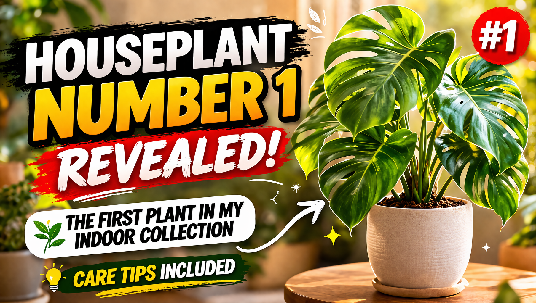 Video thumbnail for Houseplant Number 1 Revealed | The First Plant in My Indoor Collection & Care Tips