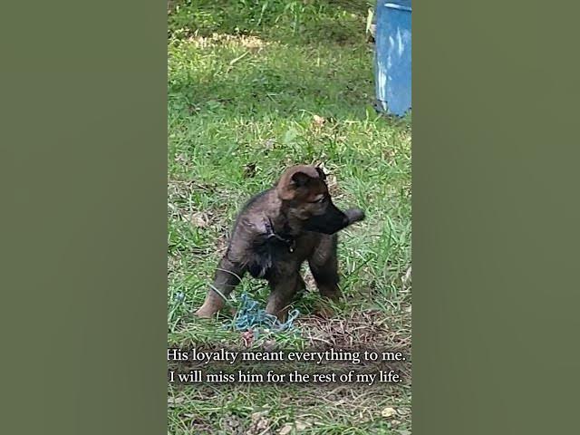 Video thumbnail for March 27, 2026