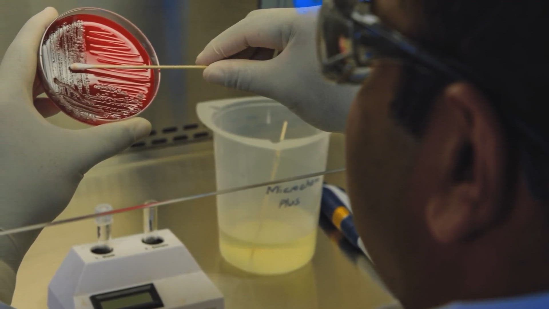 Video thumbnail for Top Government Exams for MSc Microbiology Graduates