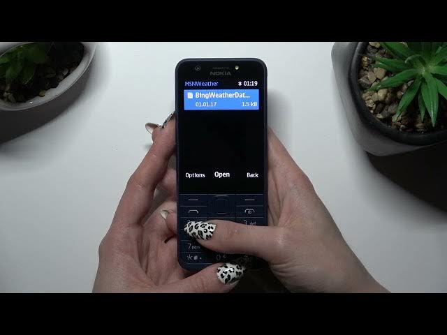 Video thumbnail for How to Find Downloaded Files on NOKIA 230