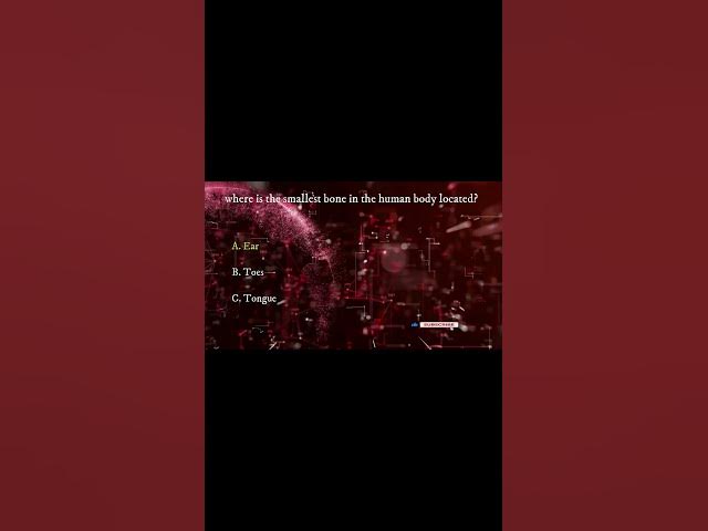 Video thumbnail for ๐ง Fun General Knowledge Trivia Quiz! Test Your Knowledge! ๐