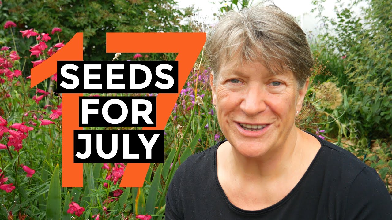 Video thumbnail for What to sow in July | Easy to grow food | Self-sufficient vegetable garden