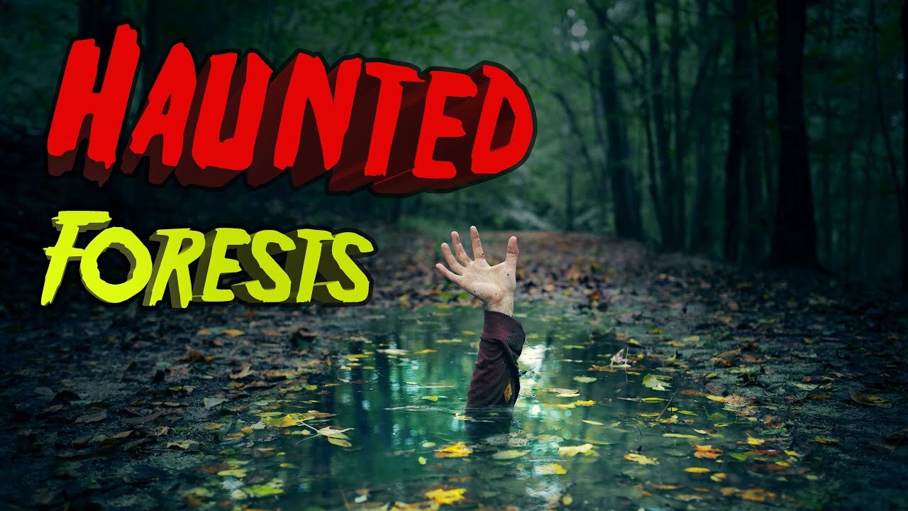 'Video thumbnail for Top 10 Most Haunted Forests and 1 Island.'