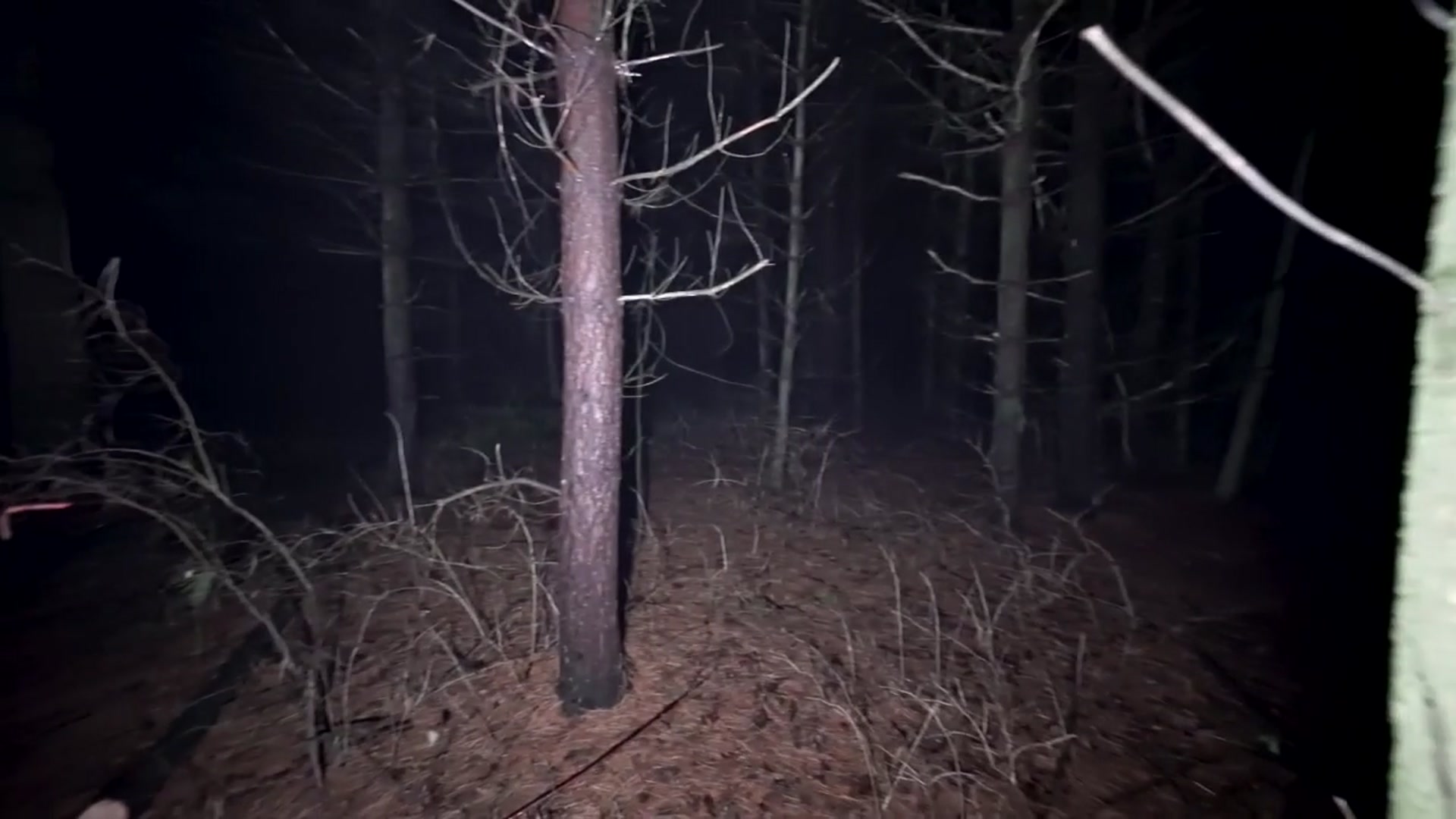 'Video thumbnail for Top 10 Most Haunted Forests and 1 Island.'