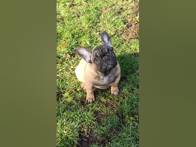 Video thumbnail for ####😝😝😝😝😝😝what are you not happy to see me @##