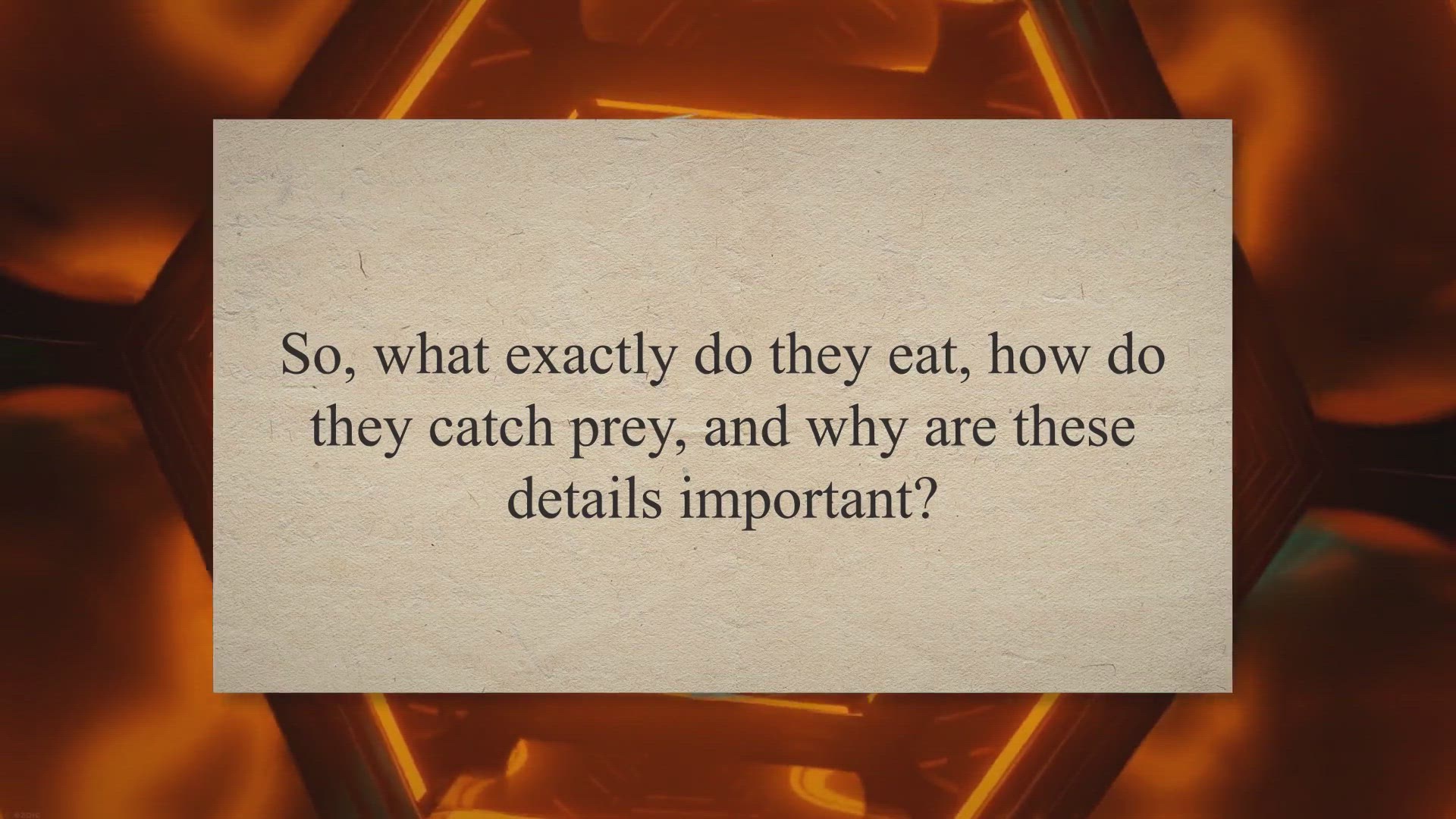 Video thumbnail for Exploring the Natural Diet of Tigers in the Wild