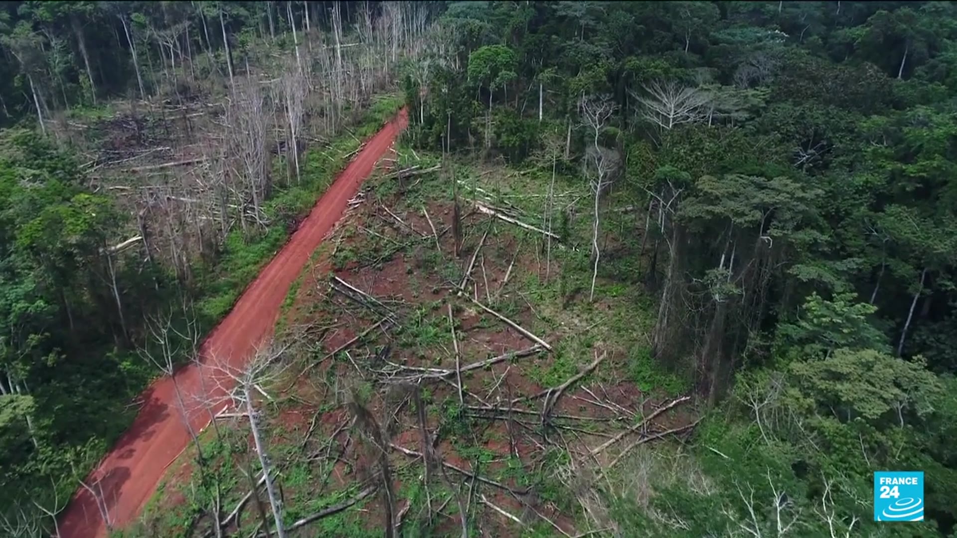 'Video thumbnail for The crucial role of Congo's rainforest'