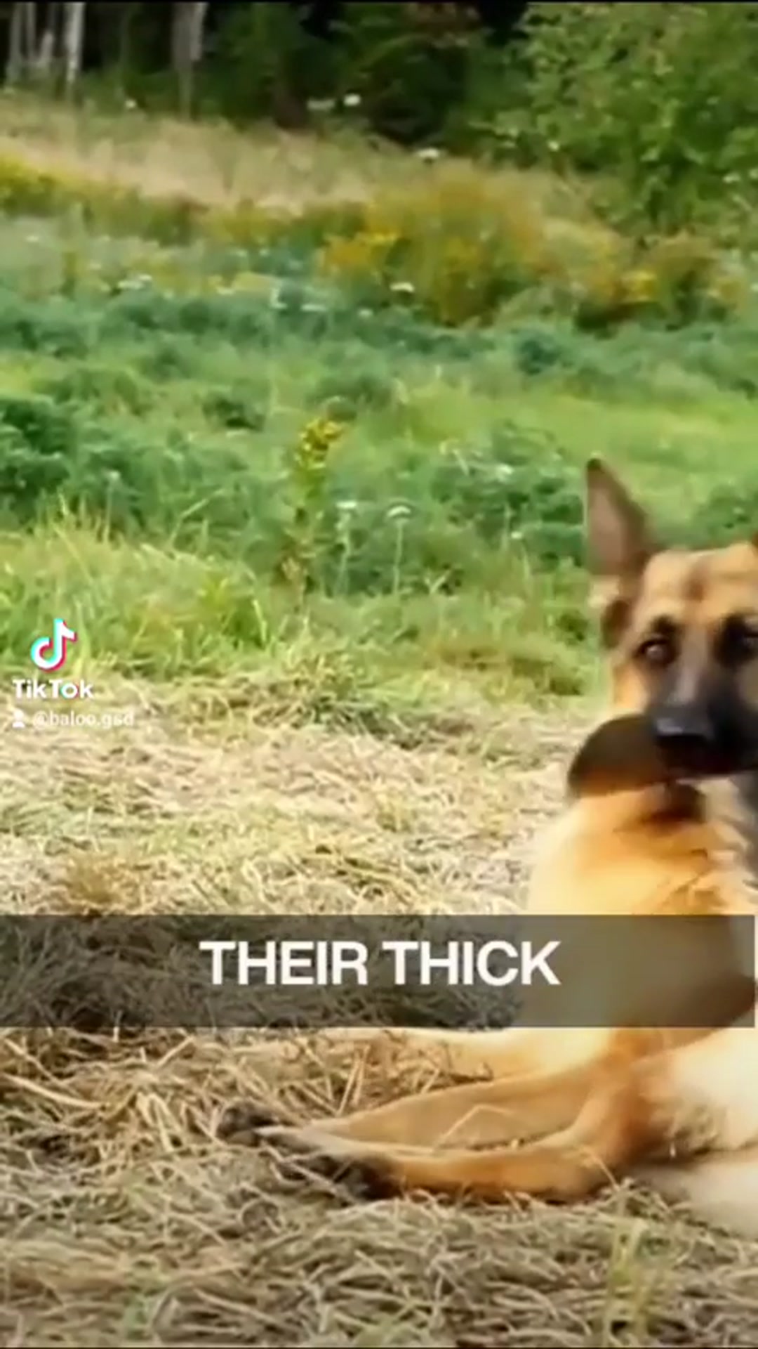 'Video thumbnail for 27 mai 2024'