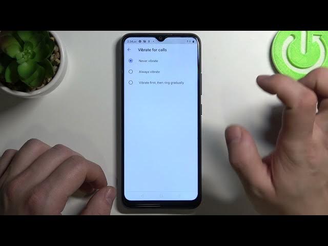 Video thumbnail for How to Enable or Disable Vibrations for Calls in Realme C21Y?