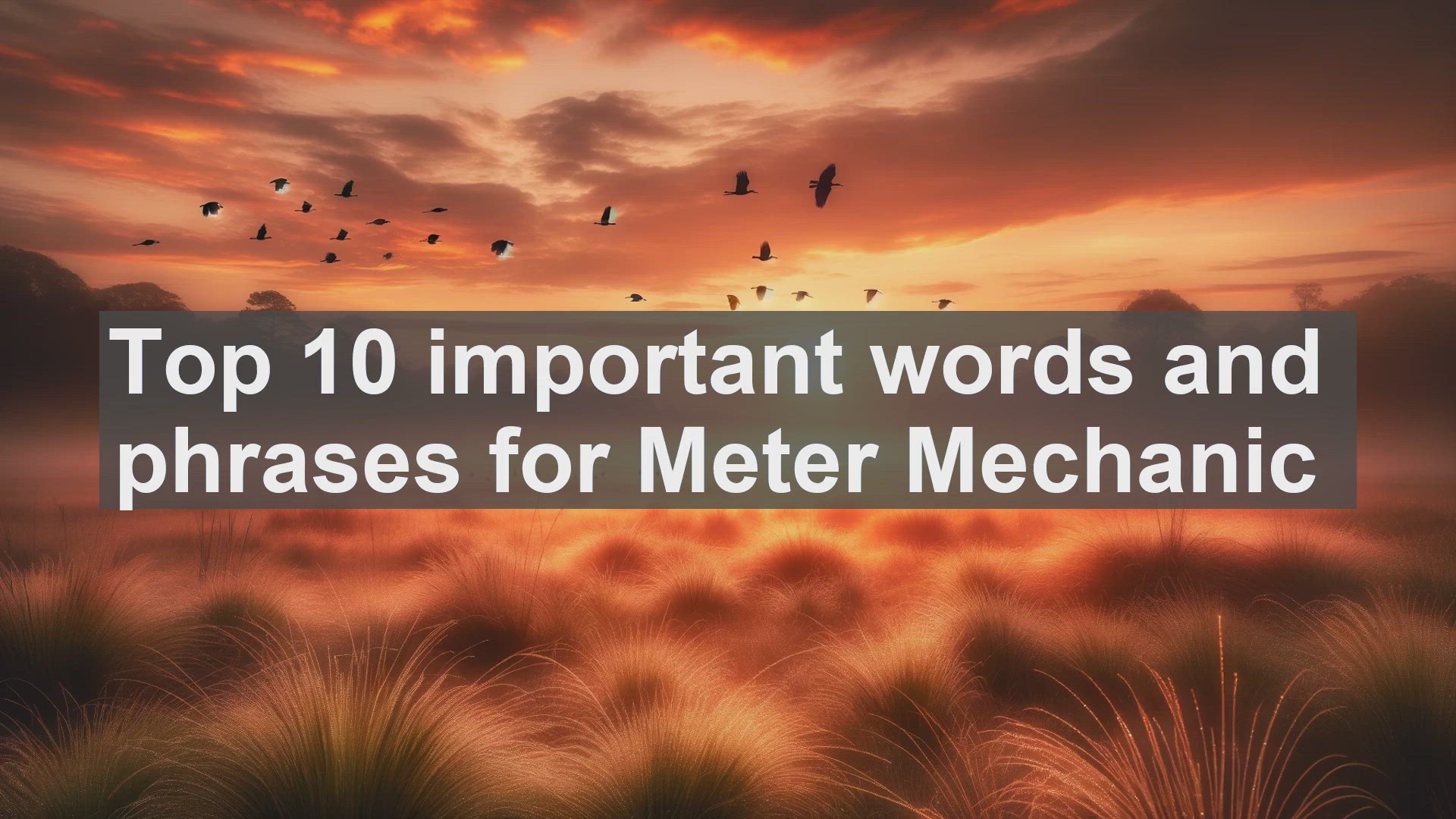 'Video thumbnail for Top 10 important words and phrases for Meter Mechanic'