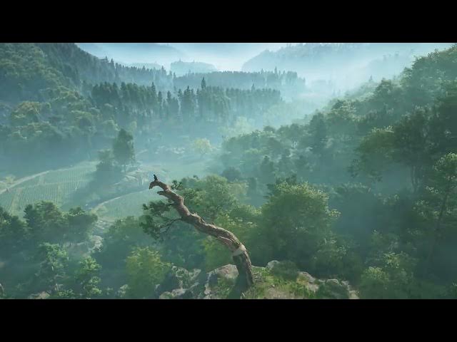 Video thumbnail for Assassins Creed Shadows - Synchronize Tejikara Vista In Iga Otagi Pass Gameplay