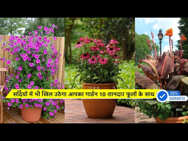Video thumbnail for सर्दियों में भी खिल उठेगा आपका गार्डन 10 शानदार फूलों के साथ
