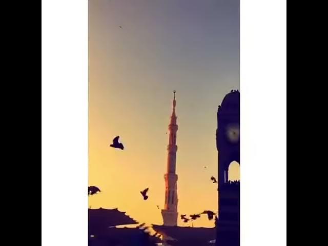 Video thumbnail for January 29, 2020