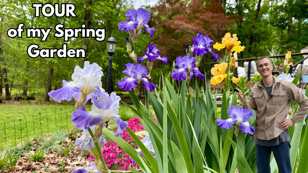 Video thumbnail for Spring Flower Garden TOUR