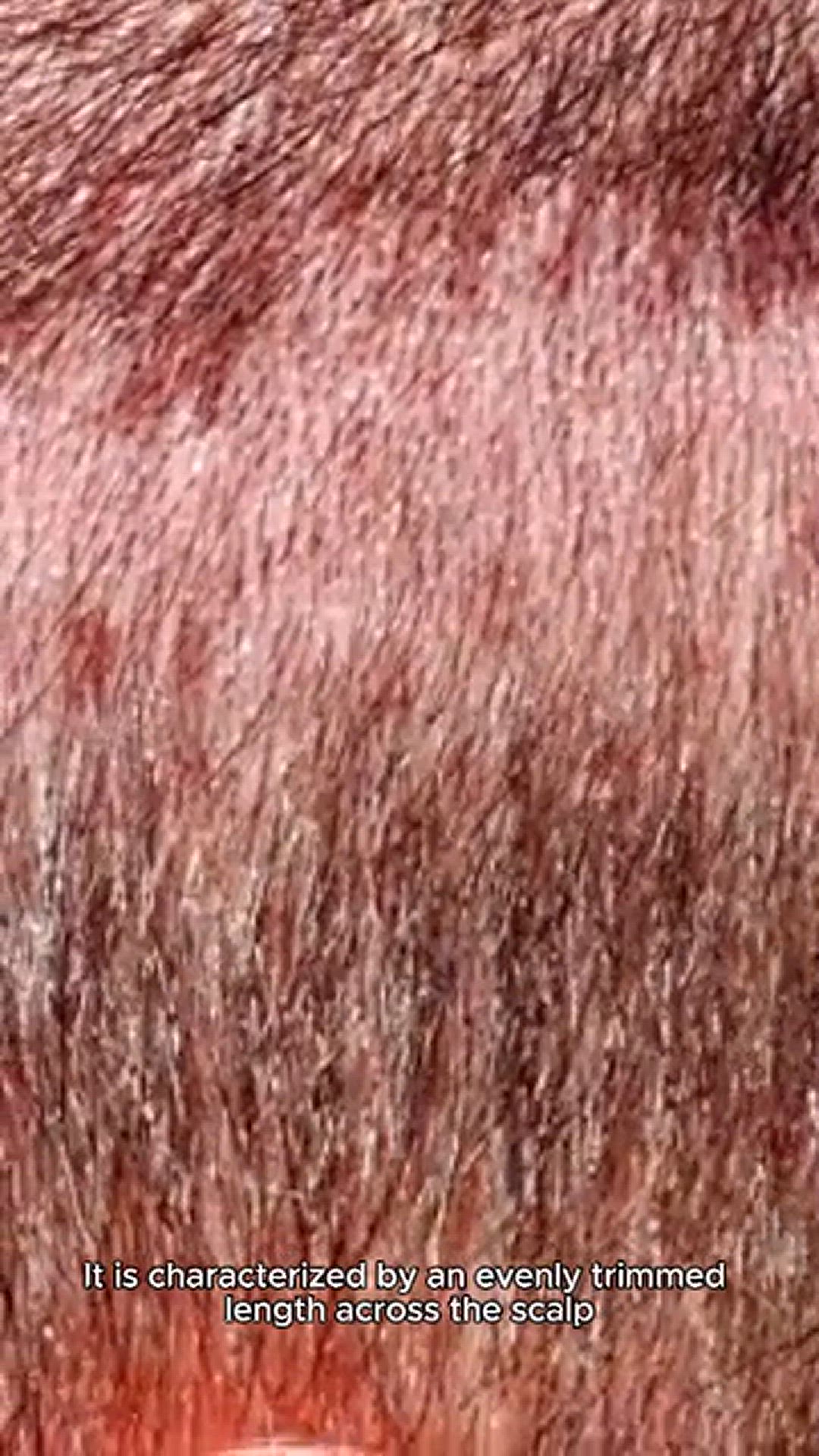 Video thumbnail for Buzz cut