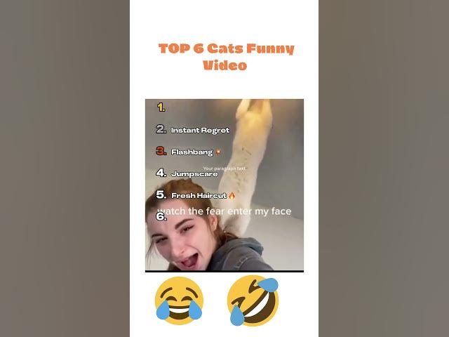 Video thumbnail for Top 6 Cats Funny Videos Viral On Tik Tok 😂 #shortvideo #viralshorts #catshorts #reels #funny