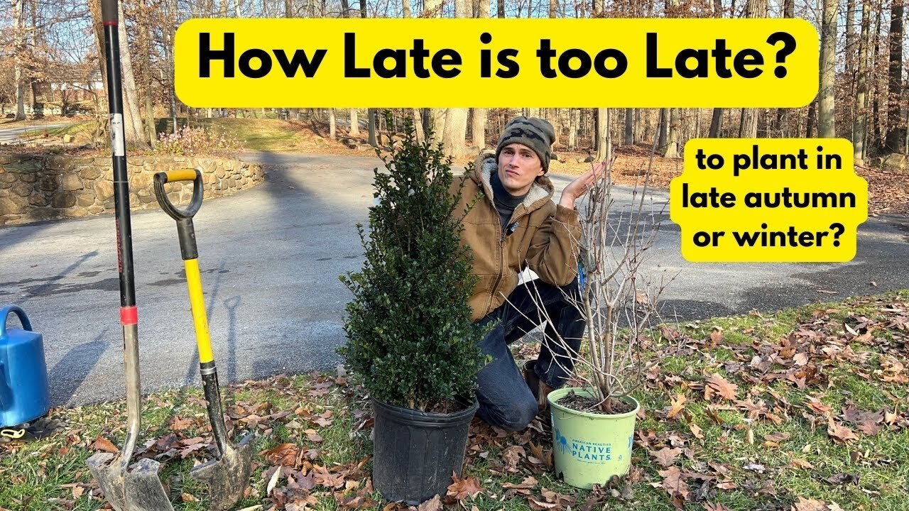 Video thumbnail for How Late Can You Plant in the Garden? Late Autumn & Winter - Shrubs, Trees, Perennials