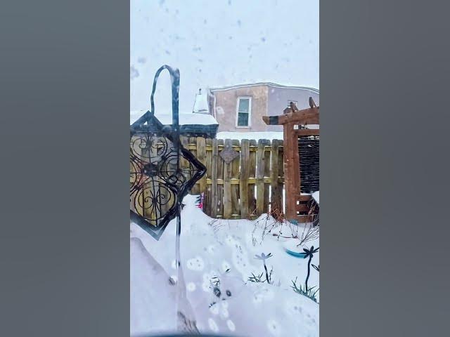 Video thumbnail for Snow Jan 25 2025 timelapse side view