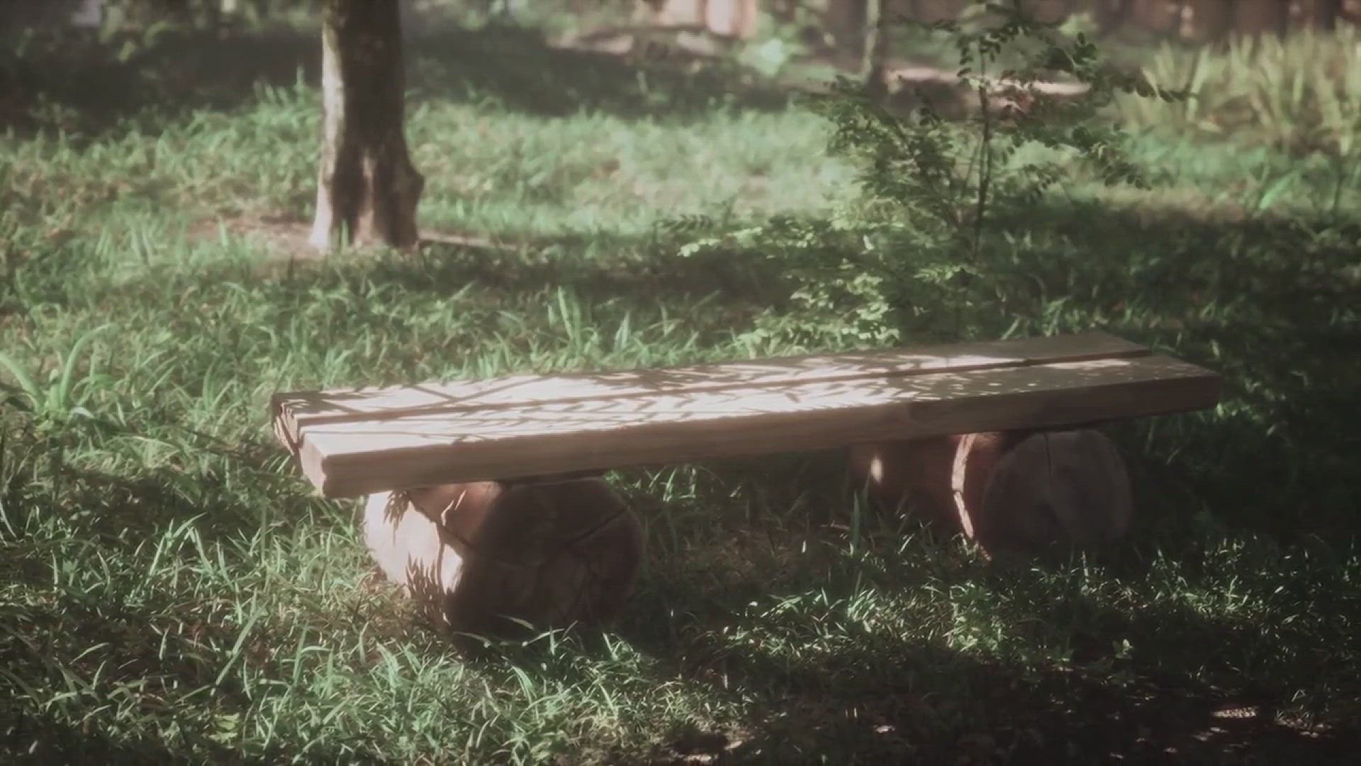 'Video thumbnail for Tips for Growing Mushrooms in the Backyad'