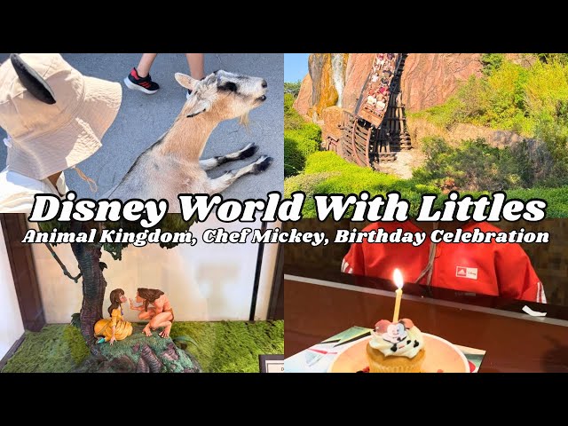 Video thumbnail for Exciting Day at Animal Kingdom & Chef Mickey for Noah's 6 Birthday! | Walt Disney World Vlog